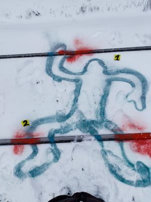 Свободна работа: IMG_20250217_112513.Cdc5lQmM.jpg